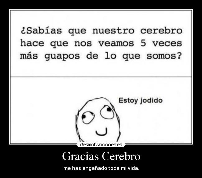 Gracias Cerebro - me has engañado toda mi vida.