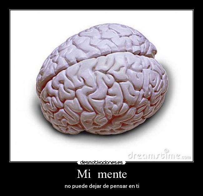 Mi mente - no puede dejar de pensar en ti