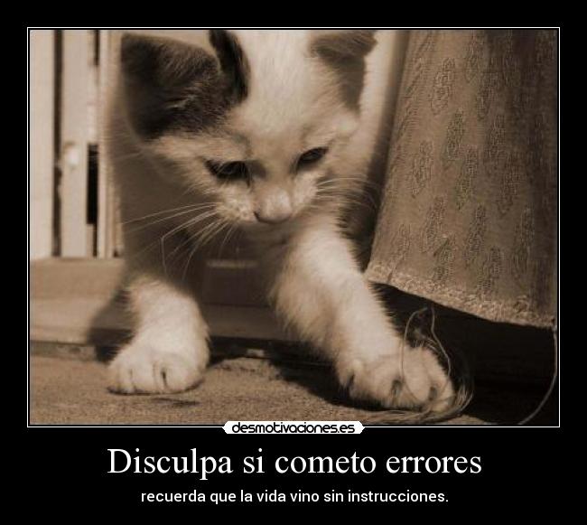 Disculpa si cometo errores - recuerda que la vida vino sin instrucciones.