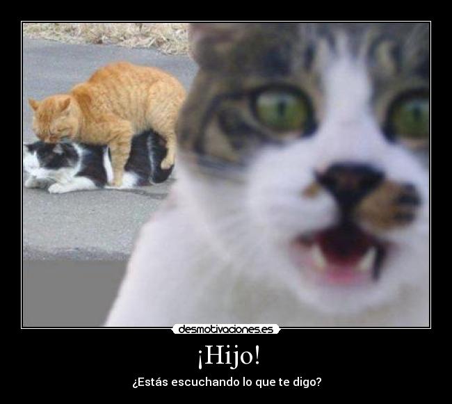 ¡Hijo! -
