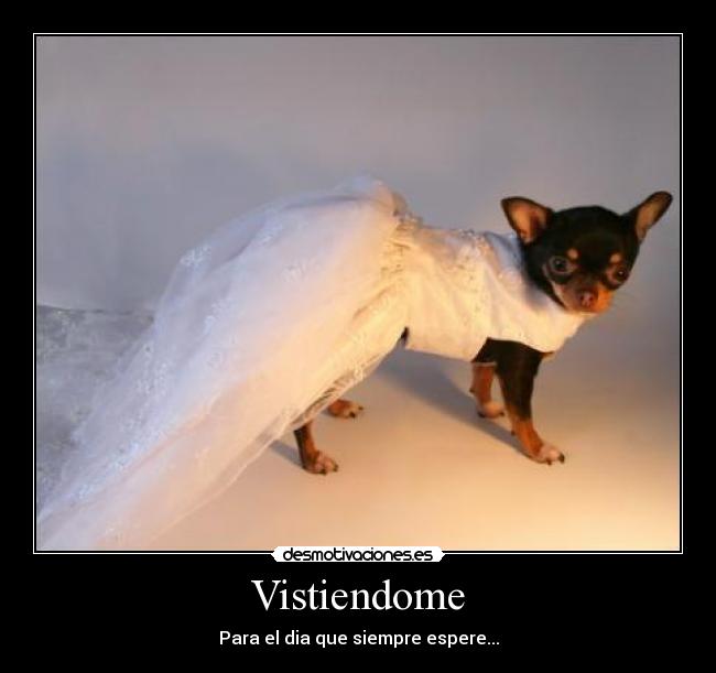 Vistiendome - Para el dia que siempre espere...