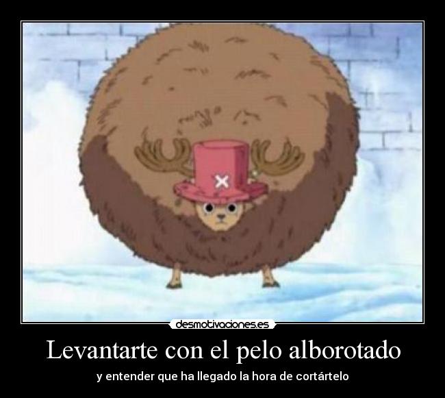 Levantarte con el pelo alborotado -