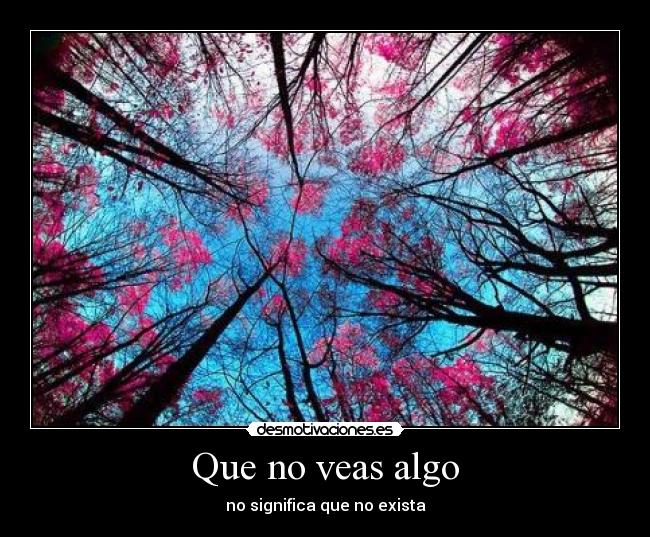 carteles pablo beltri mierdacartel sorracinflekiyo findingnemo desmotivaciones