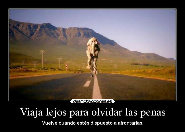 Viaja lejos para olvidar las penas - 