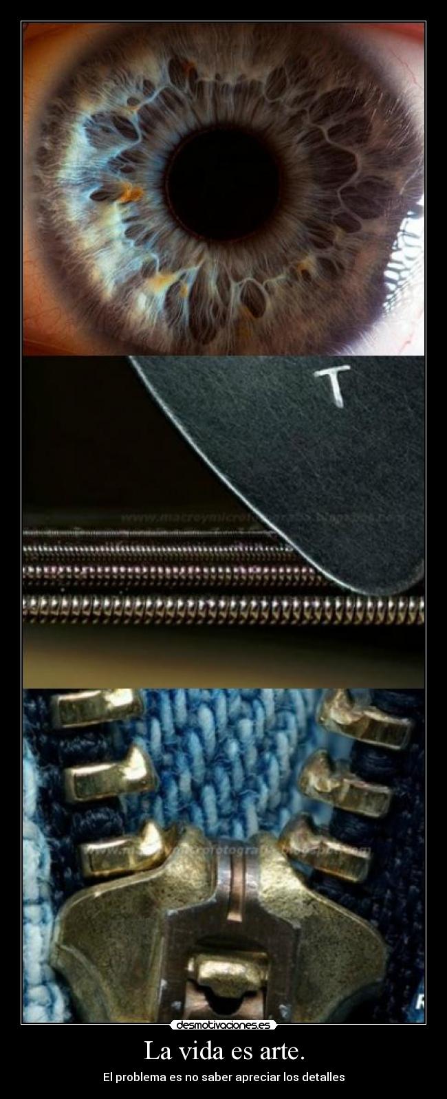 La vida es arte. - El problema es no saber apreciar los detalles