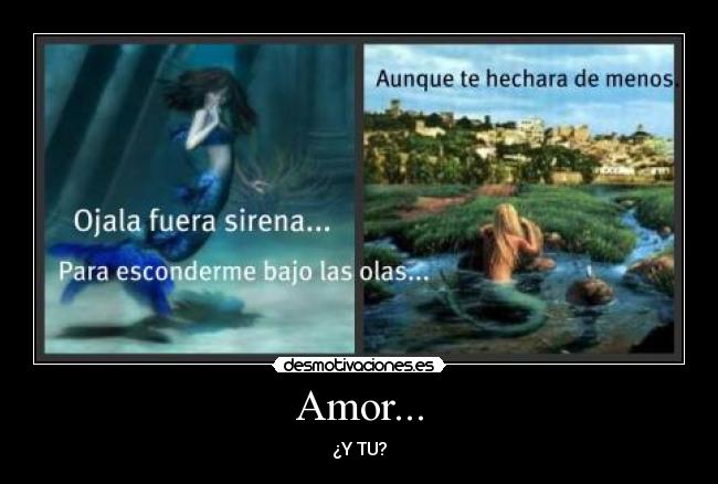 Amor... - 
