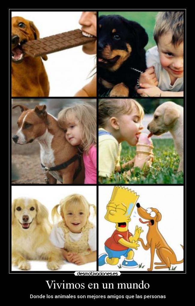 Vivimos en un mundo - Donde los animales son mejores amigos que las personas