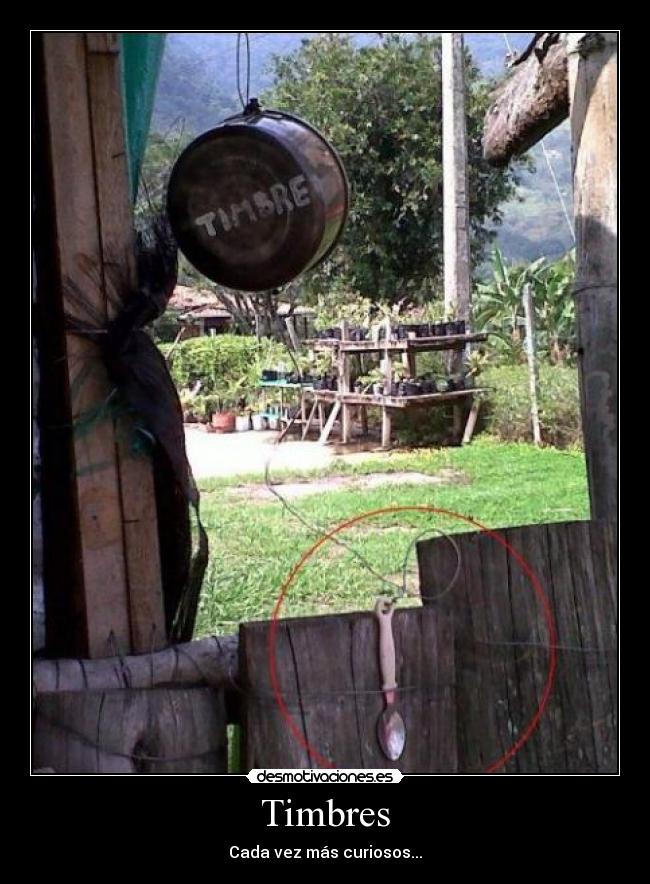 Timbres - Cada vez más curiosos...