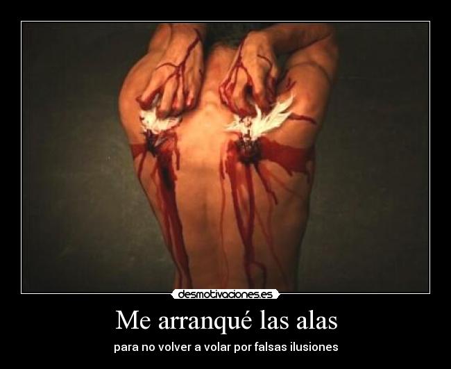 Me arranqué las alas - para no volver a volar por falsas ilusiones