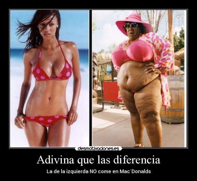 carteles gordita desmotivaciones