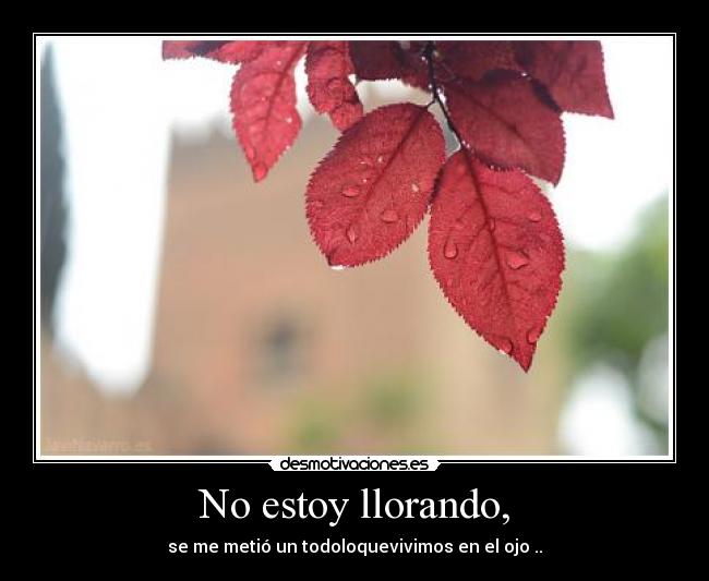 No estoy llorando, - 