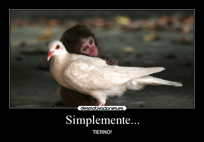 Simplemente... - 