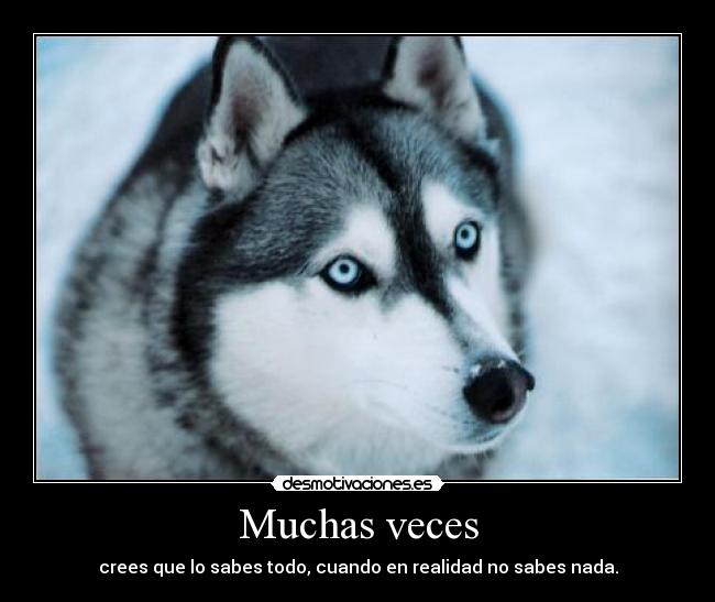 Muchas veces - crees que lo sabes todo, cuando en realidad no sabes nada.