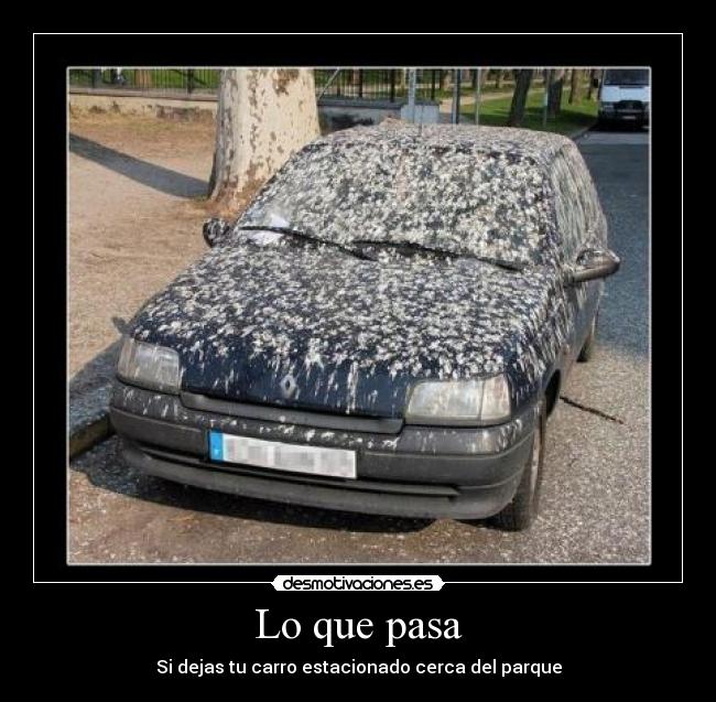 carteles gabriel1996 desmotivaciones