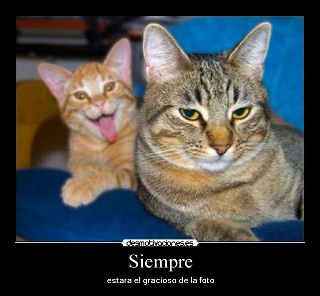 Siempre - 