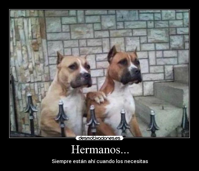 Hermanos... - Siempre están ahí cuando los necesitas
