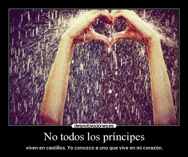 No todos los príncipes -