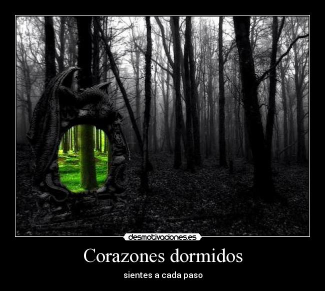 carteles zzz desmotivaciones