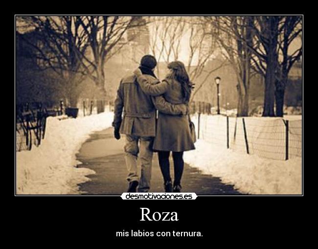 Roza - 