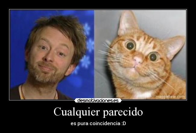 Cualquier parecido -