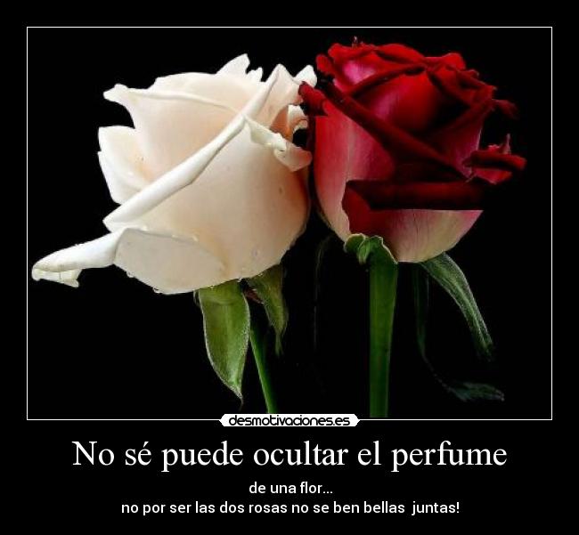 No sé puede ocultar el perfume - de una flor...
no por ser las dos rosas no se ben bellas juntas!