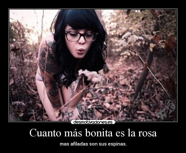 Cuanto más bonita es la rosa - mas afiladas son sus espinas.