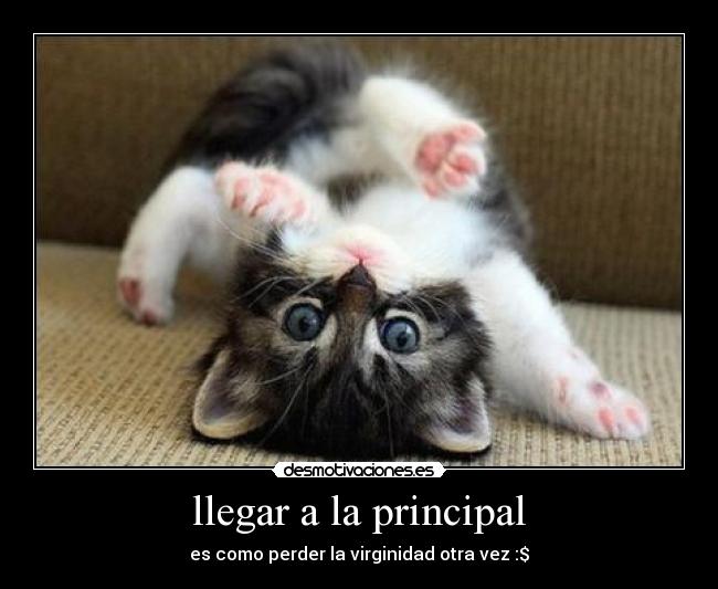 llegar a la principal -