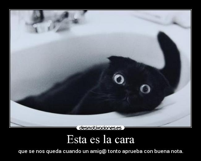 Esta es la cara -