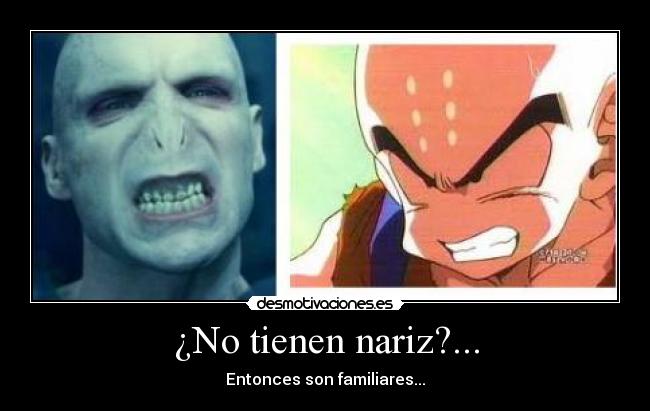 ¿No tienen nariz?... -