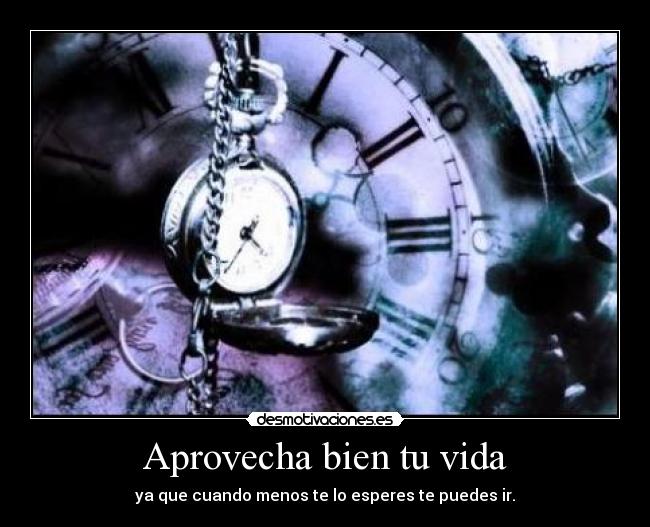 Aprovecha bien tu vida - ya que cuando menos te lo esperes te puedes ir.