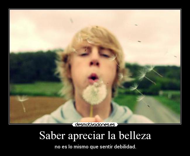 Saber apreciar la belleza - 