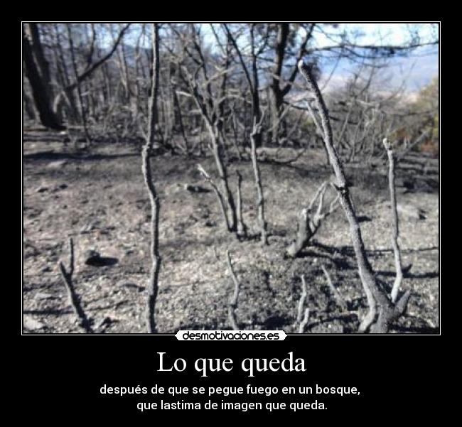 Lo que queda - después de que se pegue fuego en un bosque,
que lastima de imagen que queda.