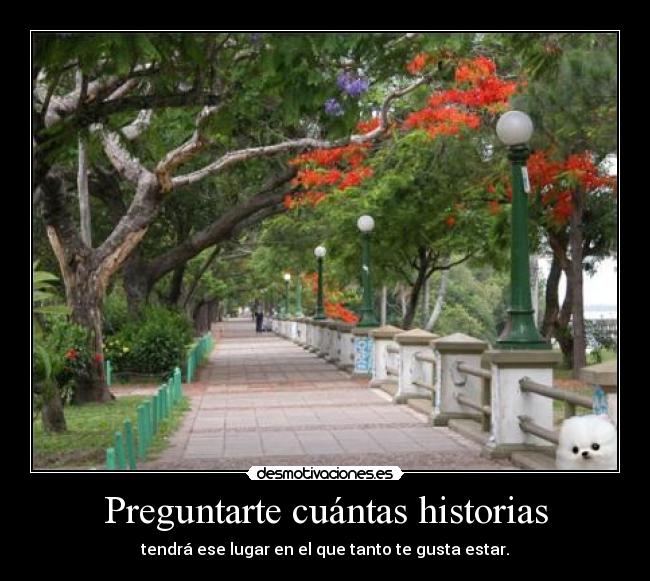 Preguntarte cuántas historias - tendrá ese lugar en el que tanto te gusta estar.