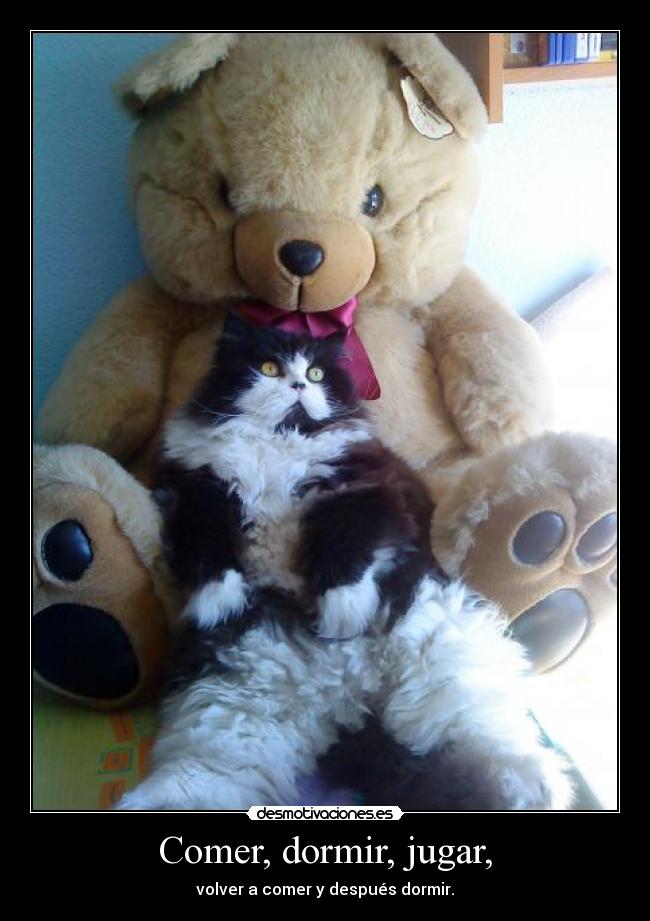 Comer, dormir, jugar, - volver a comer y después dormir.