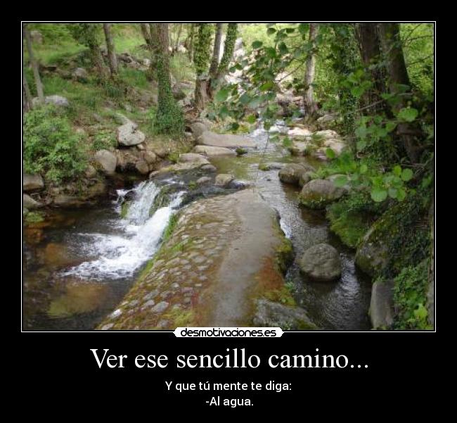 Ver ese sencillo camino... - Y que tú mente te diga:
-Al agua.