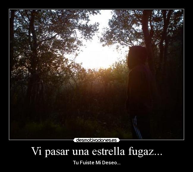 Vi pasar una estrella fugaz... - Tu Fuiste Mi Deseo...