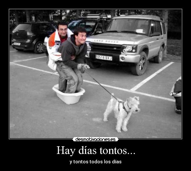 Hay días tontos... - y tontos todos los días