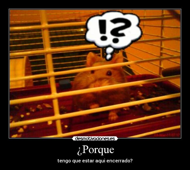 ¿Porque - tengo que estar aqui encerrado?