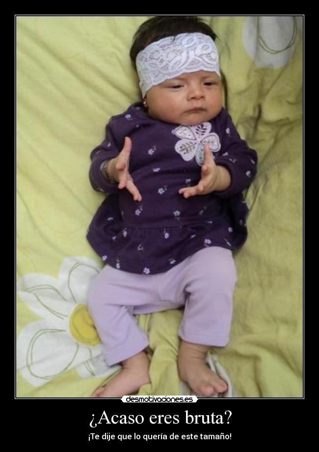 ¿Acaso eres bruta? - ¡Te dije que lo quería de este tamaño!