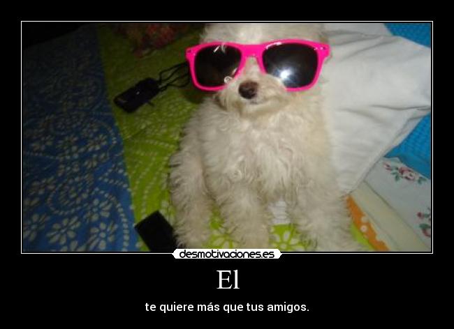 El - te quiere más que tus amigos.