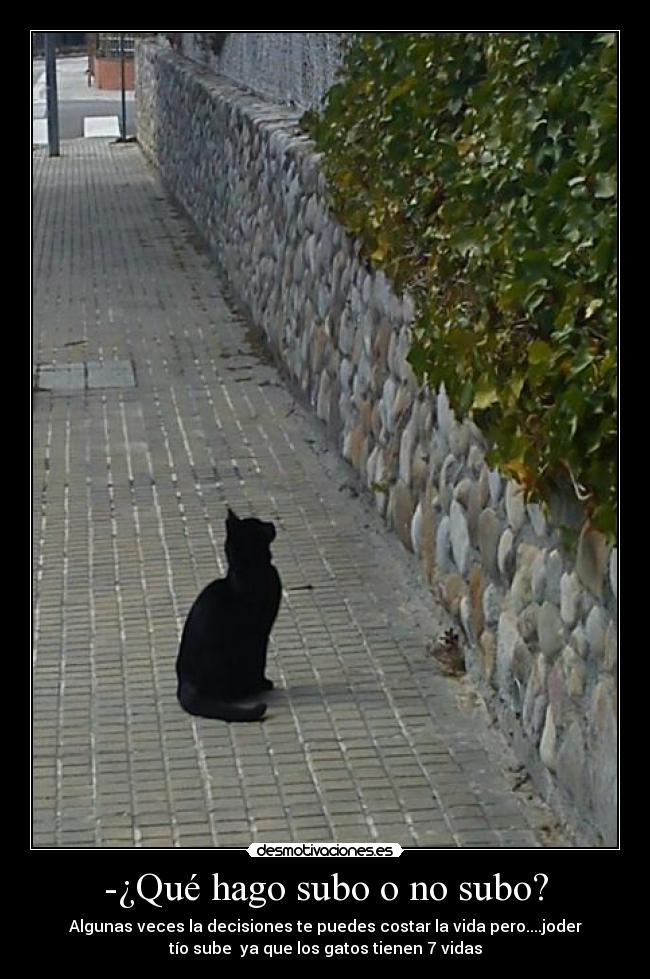 carteles que hago desmotivaciones