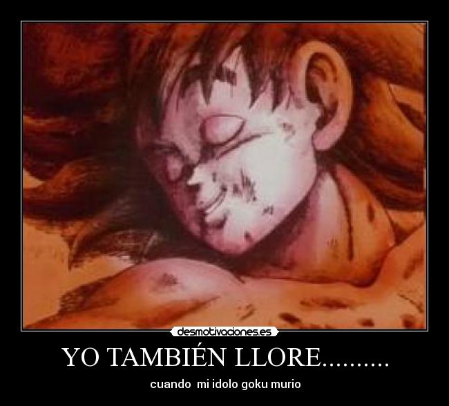 YO TAMBIÉN LLORE.......... - cuando  mi idolo goku murio