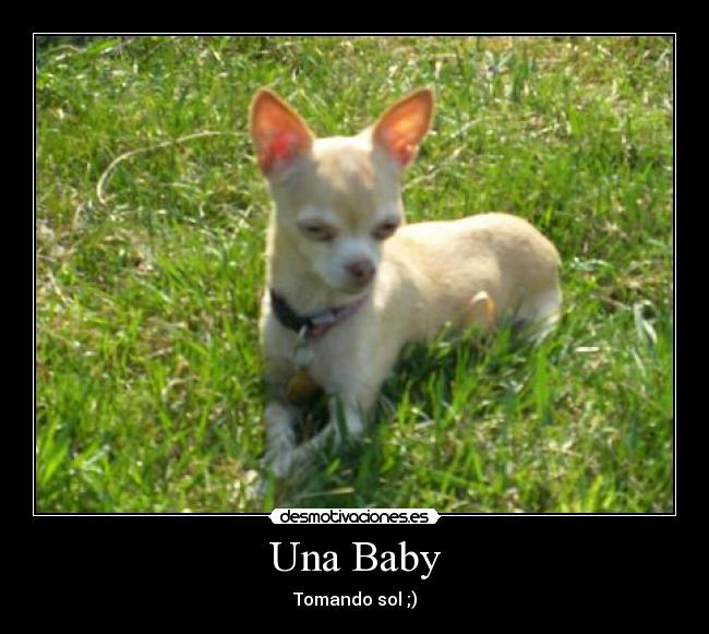 carteles baby tomando sol desmotivaciones