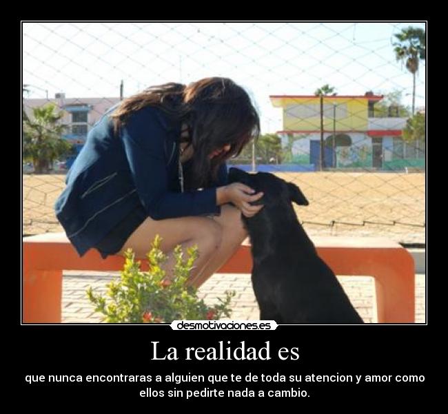 La realidad es - que nunca encontraras a alguien que te de toda su atencion y amor como
ellos sin pedirte nada a cambio.