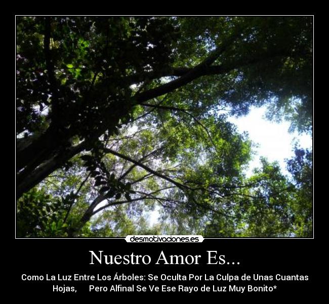 Nuestro Amor Es... - Como La Luz Entre Los Árboles: Se Oculta Por La Culpa de Unas Cuantas
Hojas, Pero Alfinal Se Ve Ese Rayo de Luz Muy Bonito*
