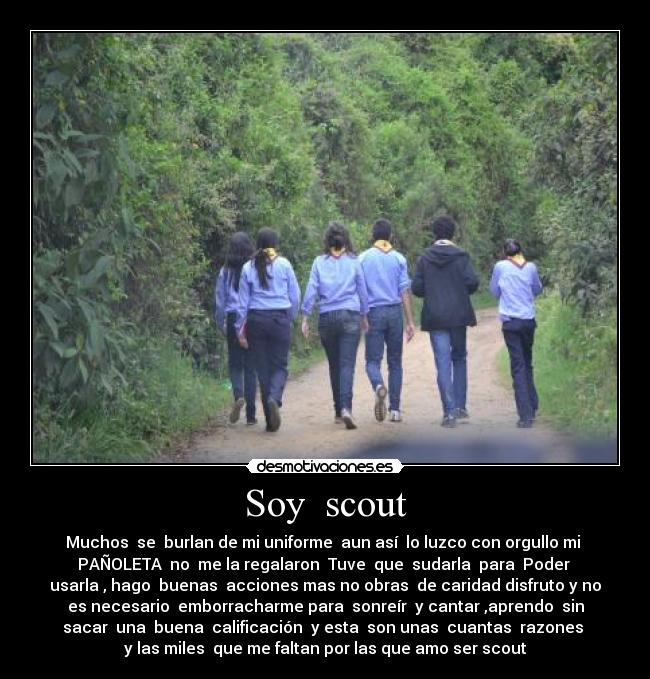 Soy scout -