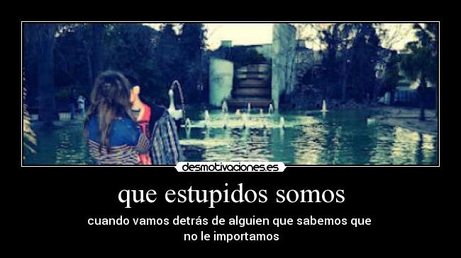 que estupidos somos -