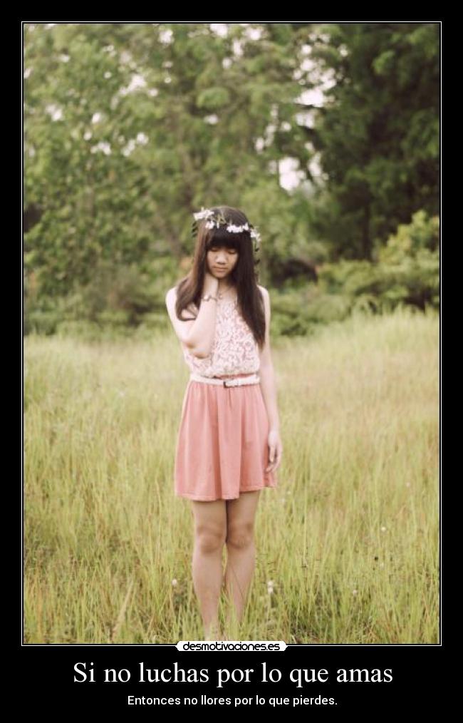 Si no luchas por lo que amas - 
