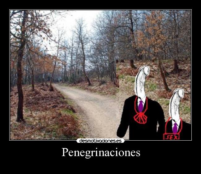 Penegrinaciones - 