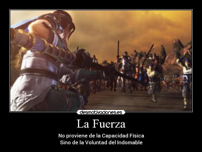 carteles dynasty warrior desmotivaciones
